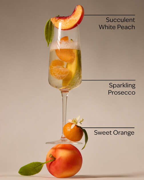 Peach Bellini PocketBac Hand Sanitizer