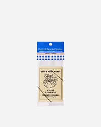 White Pumpkin Hanging Fragrance Diffuser