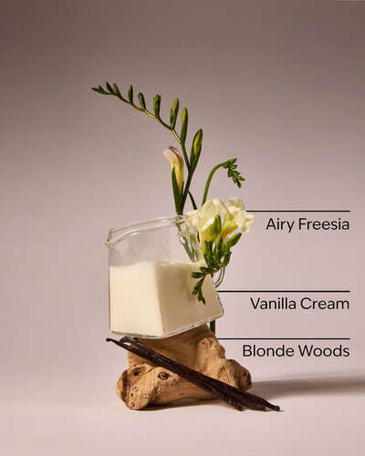 Vanilla Cloud 3-Wick Candle