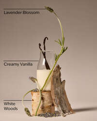 Lavender Vanilla Fragrance Booster