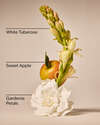 White Gardenia Wallflowers Fragrance Refill
