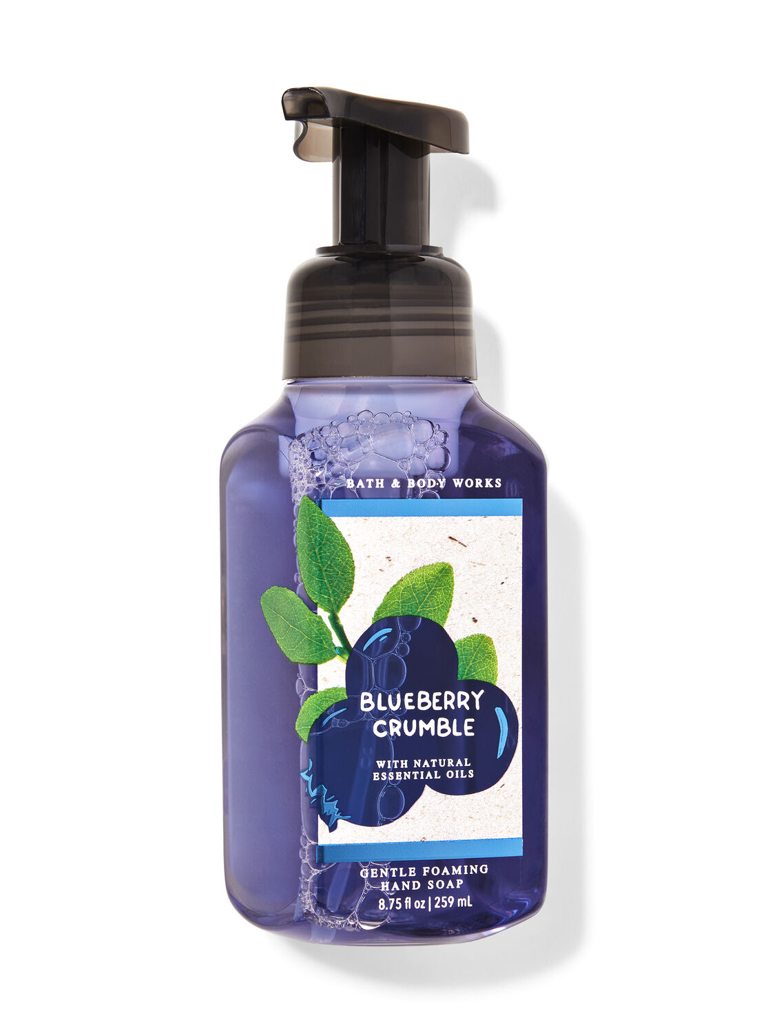 Blueberry Crumble Gentle Foaming Hand Soap