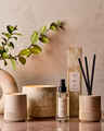 Santal + Amber Fragrance-Infused Liquidless Reeds