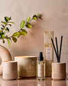 Santal + Amber Fragrance Infused Liquidless Reeds