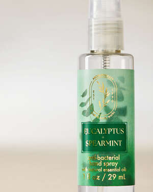 Eucalyptus Spearmint Hand Sanitizer Spray