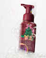 The Perfect Christmas Gentle & Clean Foaming Hand Soap