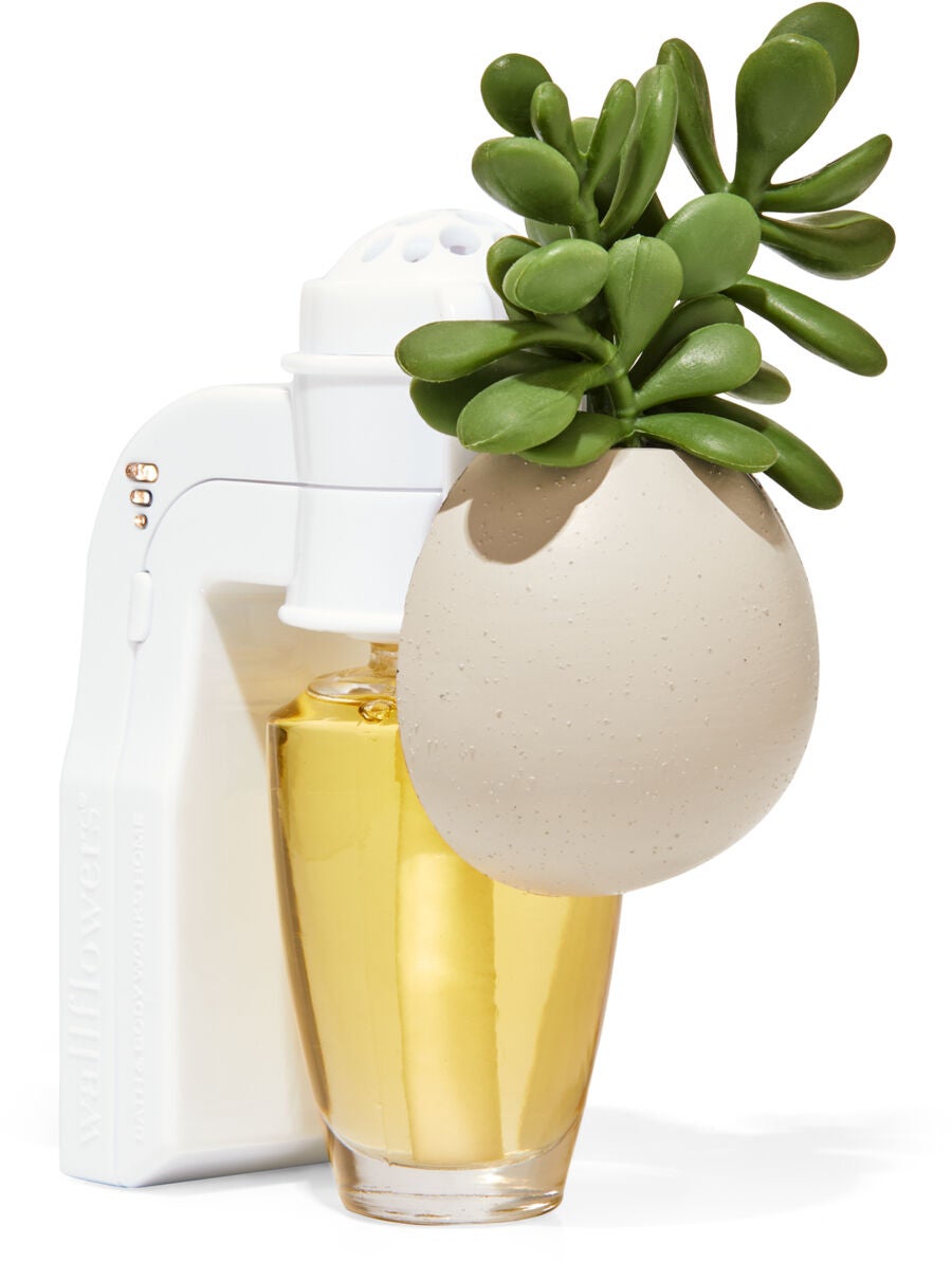 Succulent Planter Wallflowers Scent Control&amp;trade; Fragrance Plug