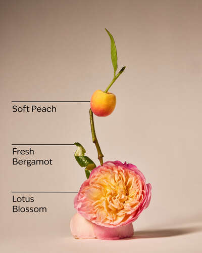 Springtime In Paris 3-Wick Candle