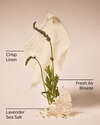 Linen & Lavender Wallflowers Fragrance Refill