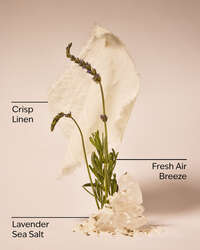 Linen & Lavender Wallflowers Fragrance Refill
