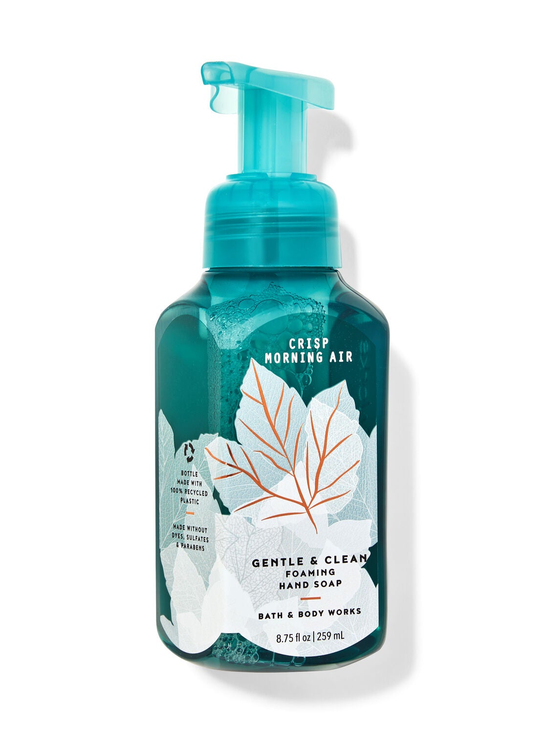 Crisp Morning Air Gentle & Clean Foaming Hand Soap