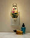 Orchid Terrarium Scent Control™ Nightlight Wallflowers Fragrance Plug