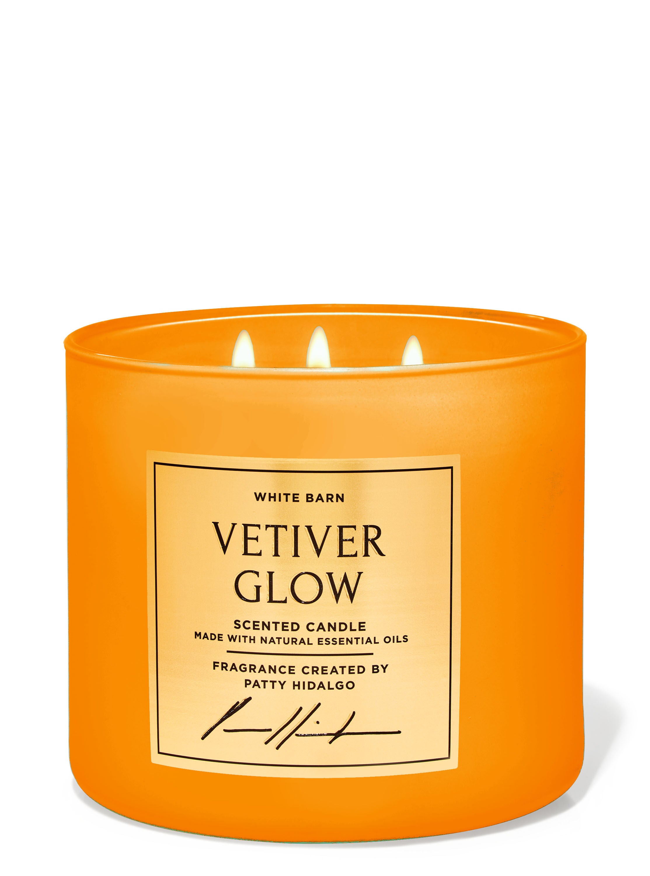Vetiver bath and body works outlet