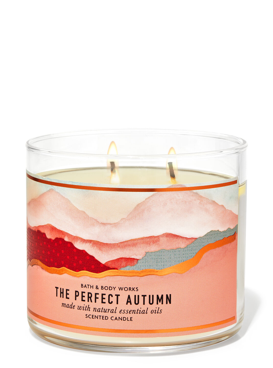 1 Bath & Body Works THE PERFECT AUTUMN Large 3-Wick SCENTED Candle 
