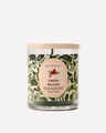 Fresh Balsam Single Wick Candle