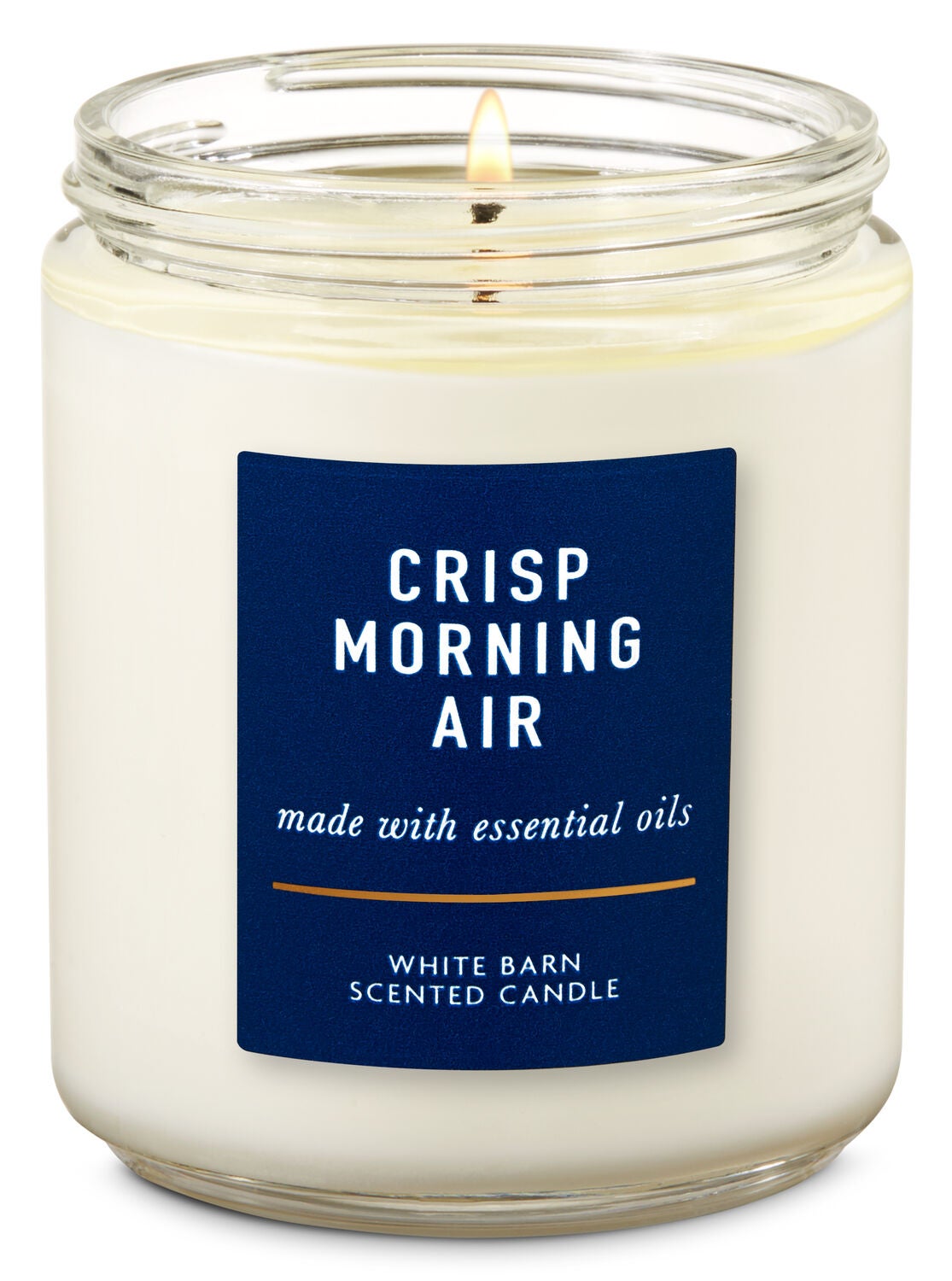 Crisp Morning Air Single Wick Candle Bath Body Works