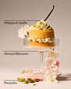 Toasted Pistachio Travel Size Fine Fragrance Mist