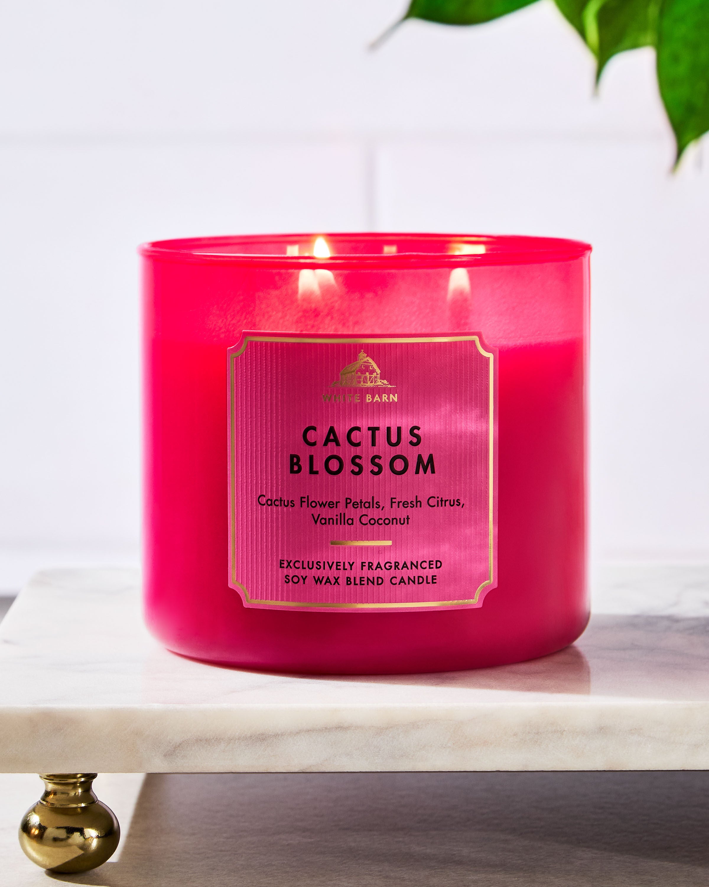 Cactus Blossom 3-Wick Candle - Thumbnail 3