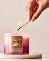 Apple Cinnamon Spice 3-Wick Candle