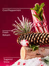 Twisted Peppermint Fine Fragrance Mist