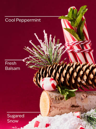 Twisted Peppermint Fine Fragrance Mist