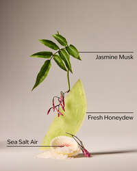 Sea Salt Travel Size Fine Fragrance Mist