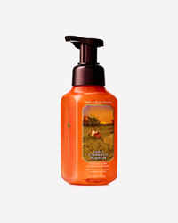 Sweet Cinnamon Pumpkin Gentle & Clean Foaming Hand Soap