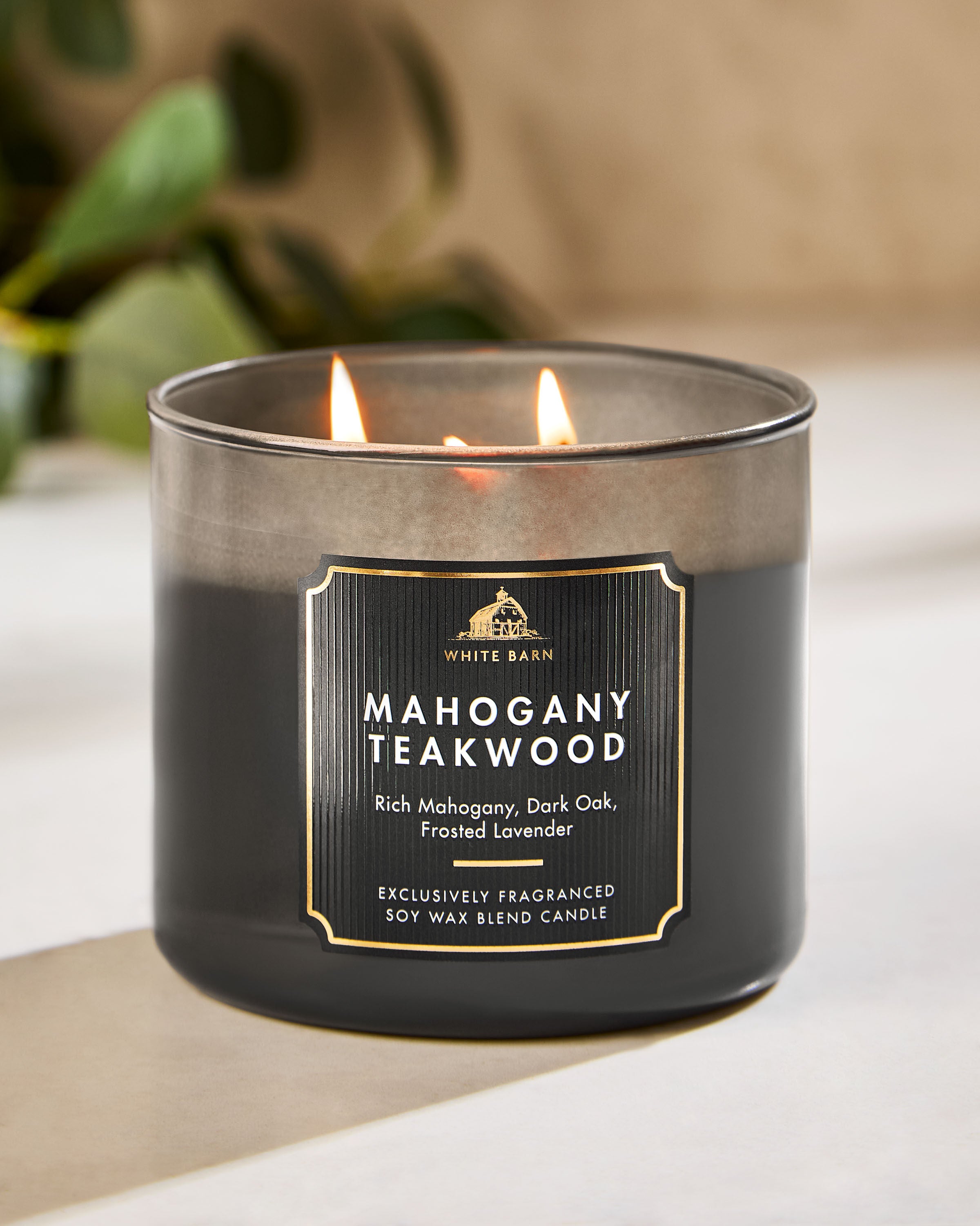 Mahogany Teakwood 3-Wick Candle | Bath & Body Works