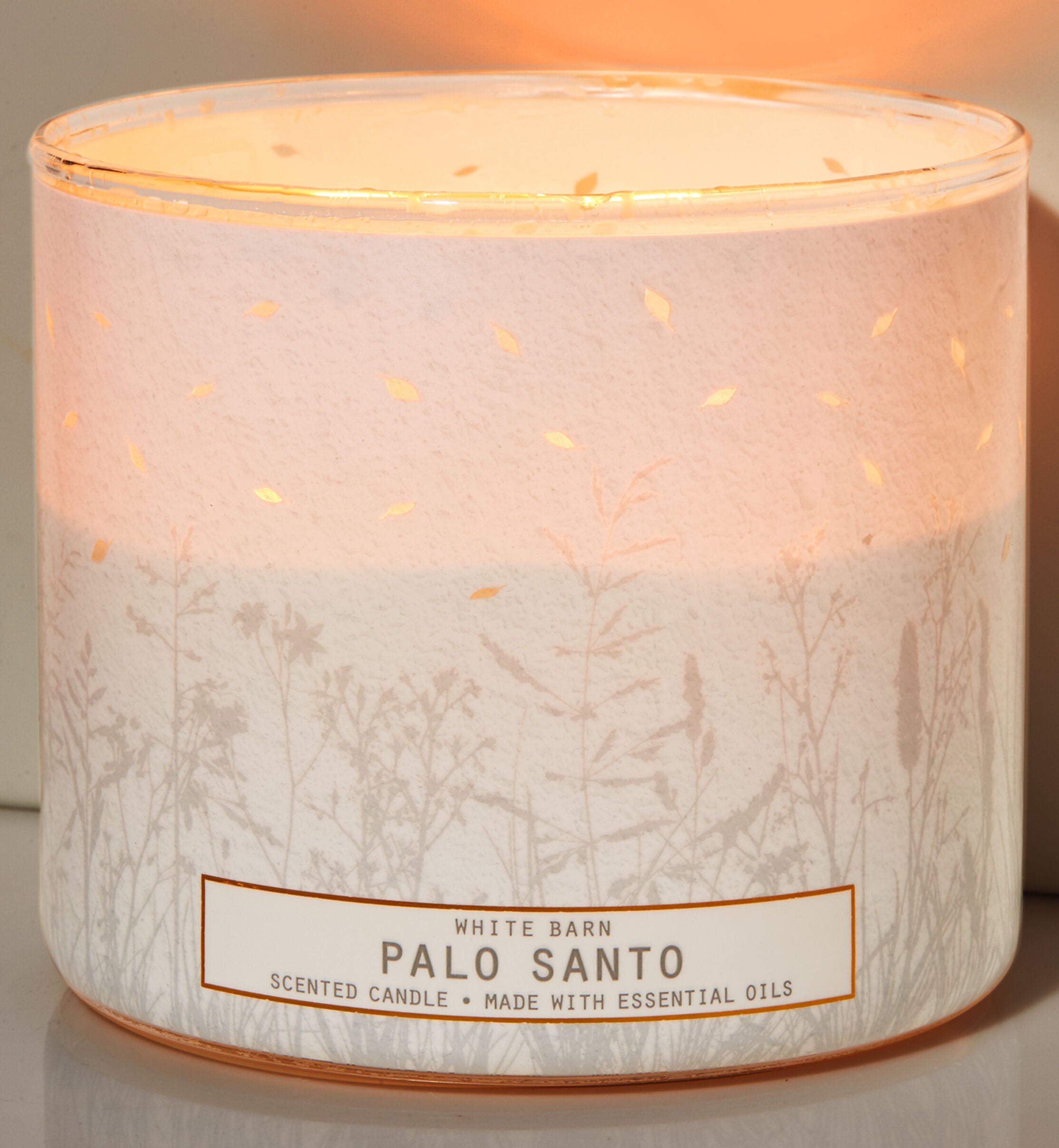 3-Wick Scented Candles - Bath & Body Works