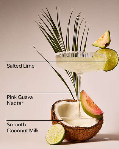 Guava Coconut Margarita Wallflowers Fragrance Refill