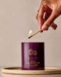 Wild Blackberry Jam Single Wick Candle
