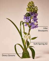 Fresh Cut Lilacs Wallflowers Refills 2-Pack