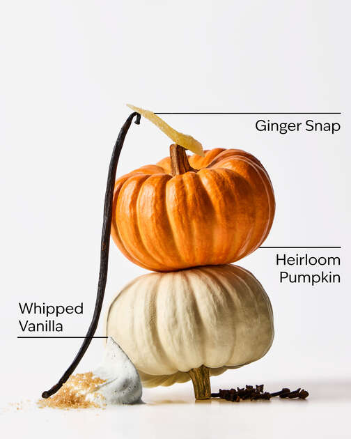 Sweet Cinnamon Pumpkin Glossy Lip Balm