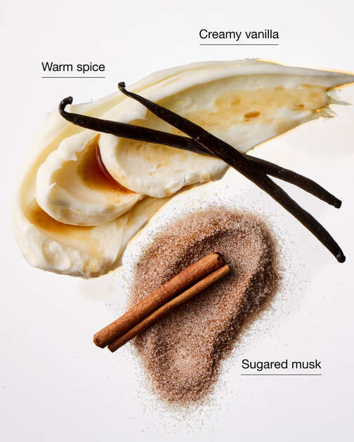 Sugared Snickerdoodle Wallflowers Fragrance Refill