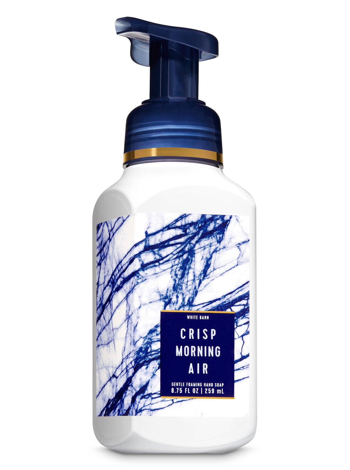 Crisp Morning Air Gentle Foaming Hand Soap - Bath And Body Works