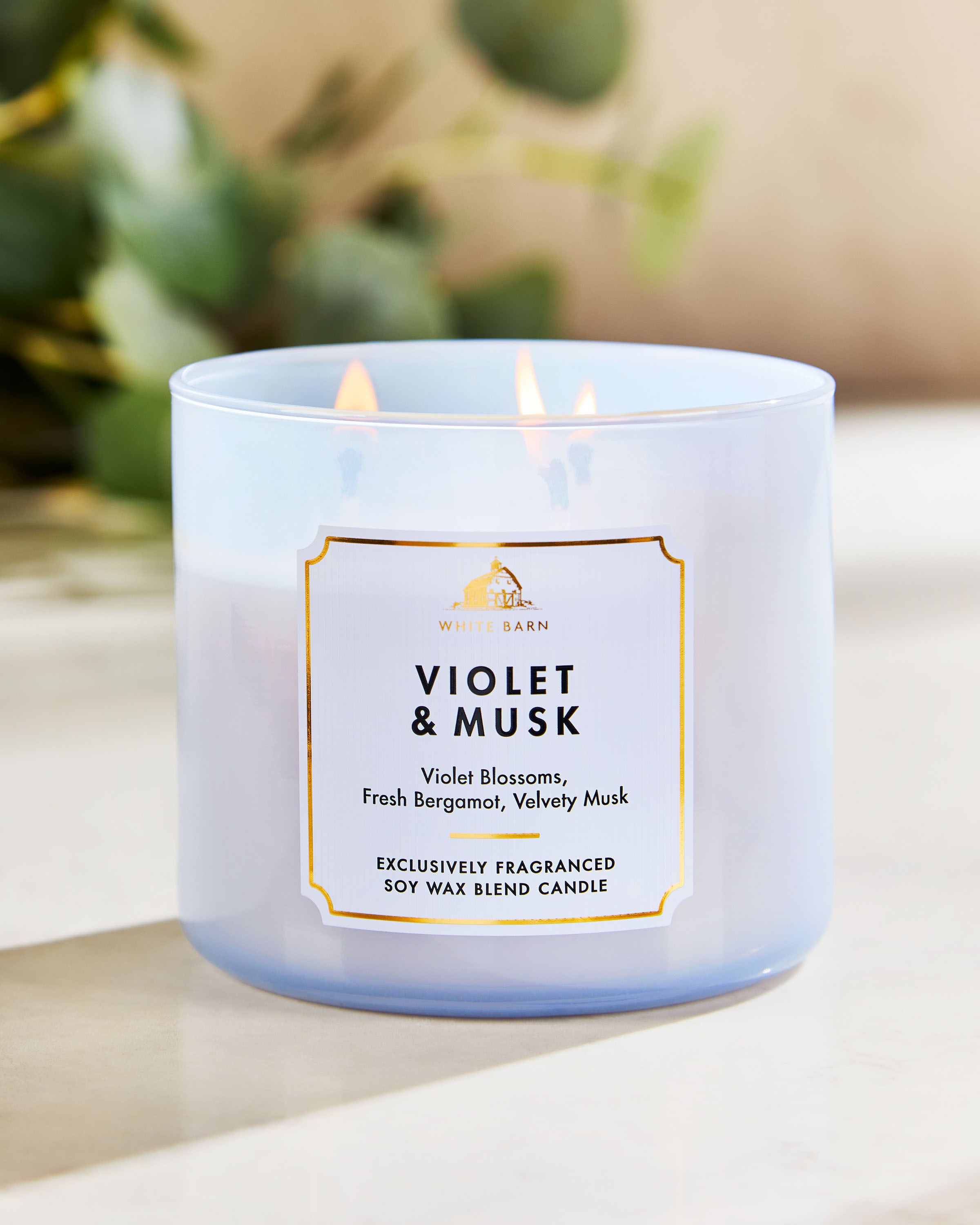 Violet & Musk 3-Wick Candle | Bath & Body Works