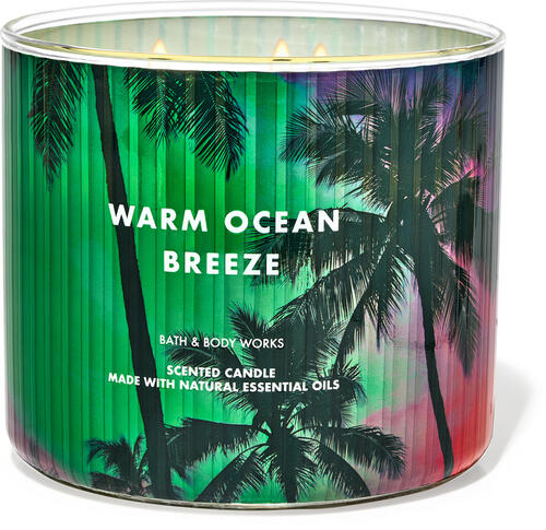Warm Ocean Breeze 3-Wick Candle