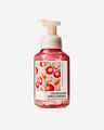 Champagne Apple & Honey Gentle & Clean Foaming Hand Soap