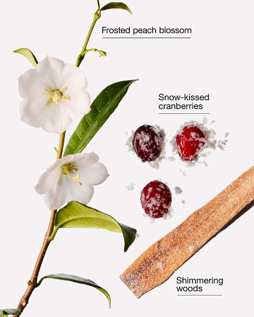 Snowy Peach Berry PocketBac Hand Sanitizer