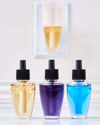 Ocean Wallflowers Refills 2-Pack