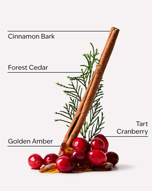 Cranberry Woods Wallflowers Refills 2-Pack