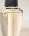 Raspberries & Whipped Vanilla Wallflowers Fragrance Refill