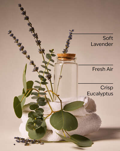 Laundry Day Car Fragrance Refill