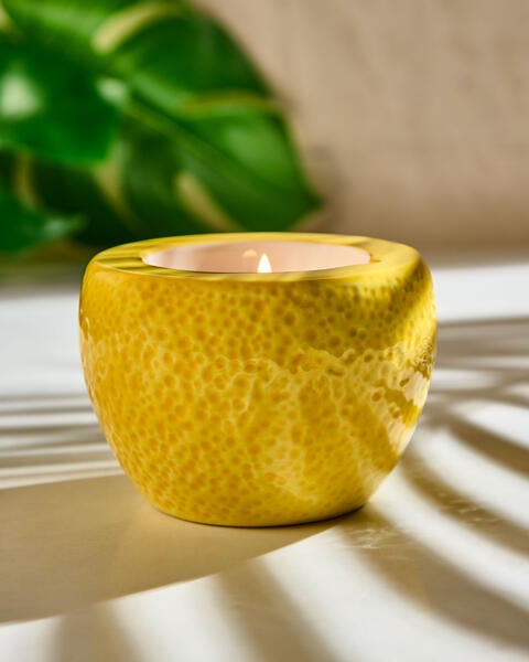 Fresh Amalfi Lemon Single Wick Figural Candle