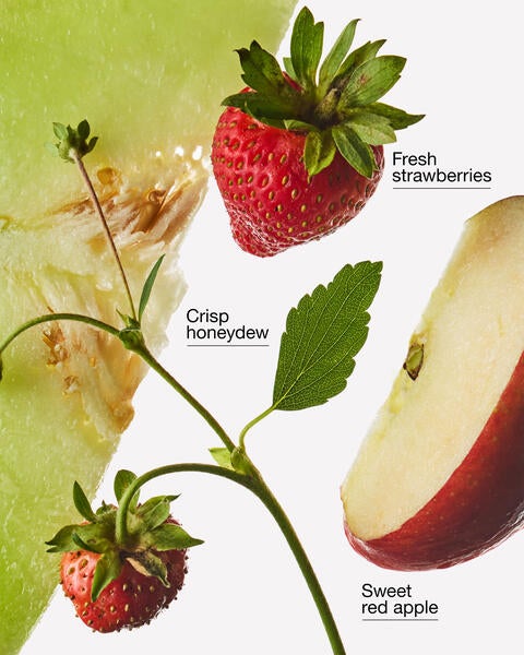 Strawberry Melon Wallflowers Refills 2-Pack