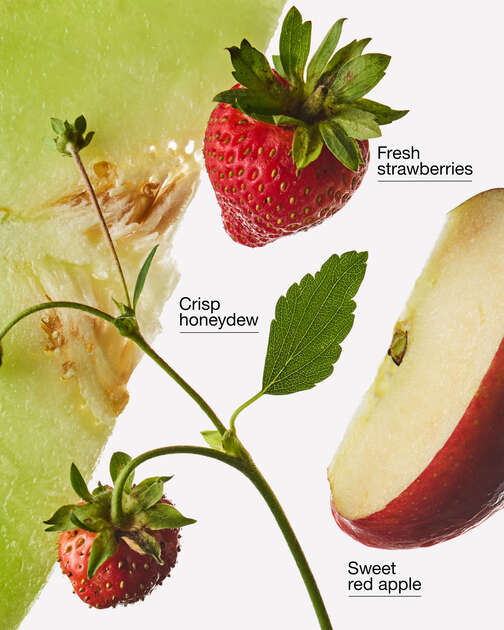Strawberry Melon Wallflowers Refills 2-Pack