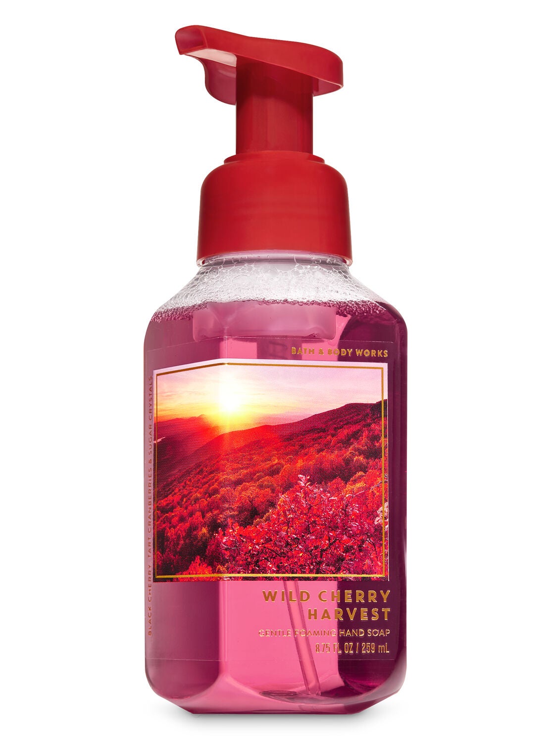 Wild Cherry Harvest Gentle Foaming Hand Soap - Bath And Body Works