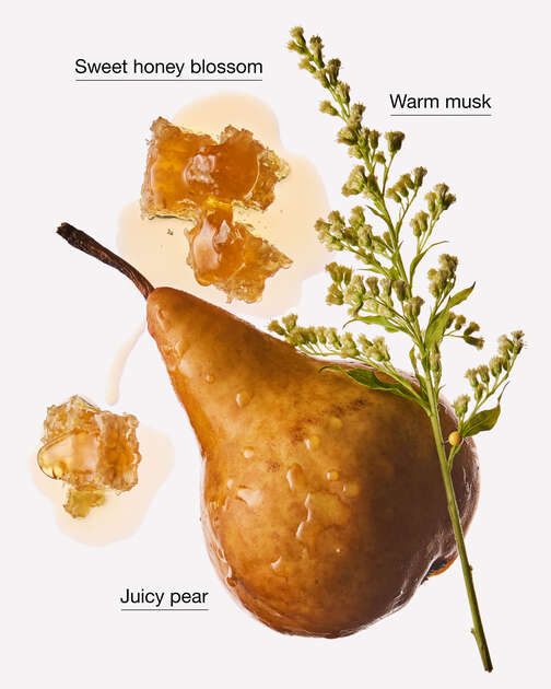 Golden Pear & Honey Wallflowers Fragrance Refill