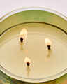 Sunlit Glow 3-Wick Candle
