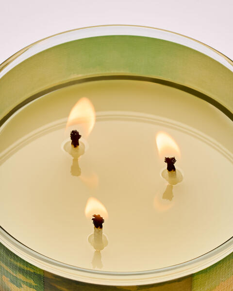 Sunlit Glow 3-Wick Candle